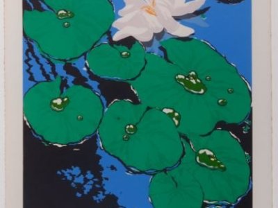 Lesson Plan: Jack Beal, “Pond&nbsp;Lilies”