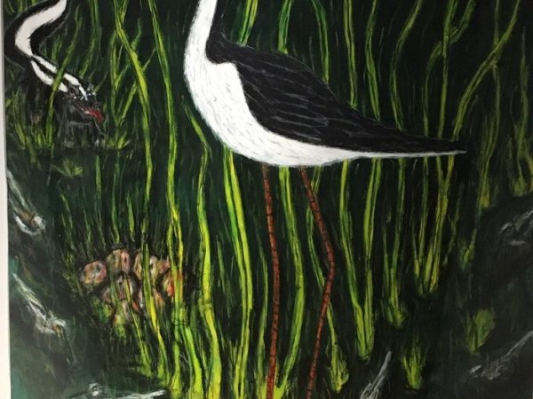 Lesson Plan: Frank X. Tolbert 2, “Black Necked&nbsp;Stilt”